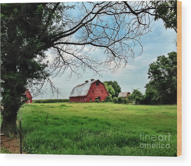 Red Barn Wood Print featuring the photograph Stovall Farms in the Mississippi Delta by T Lowry Wilson