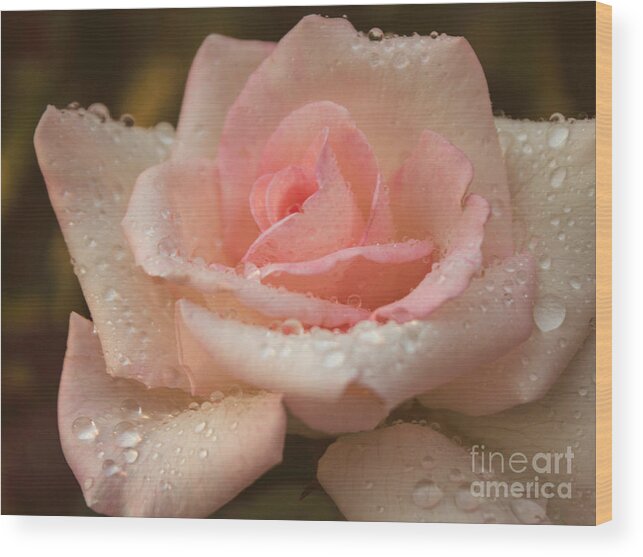 Pink Wood Print featuring the photograph Summer Wonder by Arlene Carmel