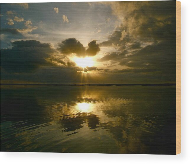 South Carolina Wood Print featuring the photograph Sun Up by Paul Foutz