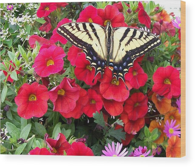 Fauna Wood Print featuring the painting Swallowtail and Petunia's by Sharon Duguay