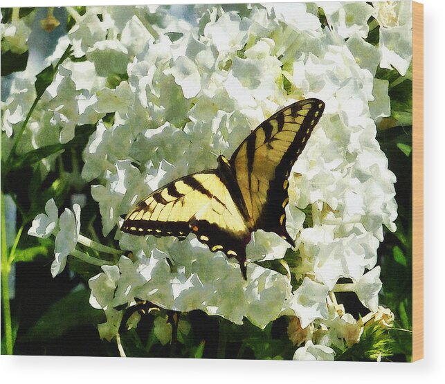 Butterfly Wood Print featuring the photograph Swallowtail on White Hydrangea by Susan Savad