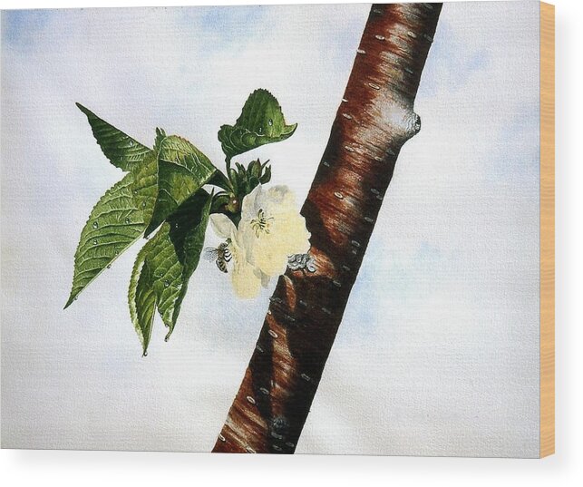 Spring Wood Print featuring the painting Sweet Nectar by Conrad Mieschke