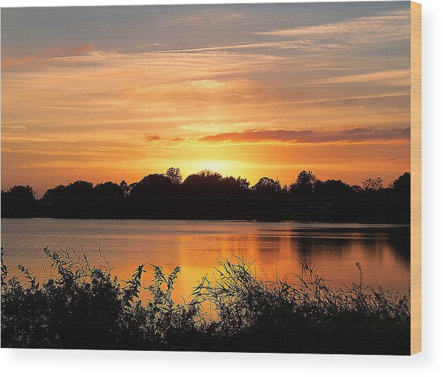 Florida Wood Print featuring the photograph Thanksgiving Evening by Christopher Mercer
