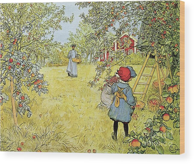 Fruit Wood Print featuring the painting The Apple Harvest by Carl Larsson