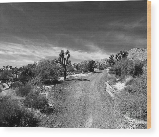 Desert Road Wood Print featuring the photograph The RoaD by Angela J Wright