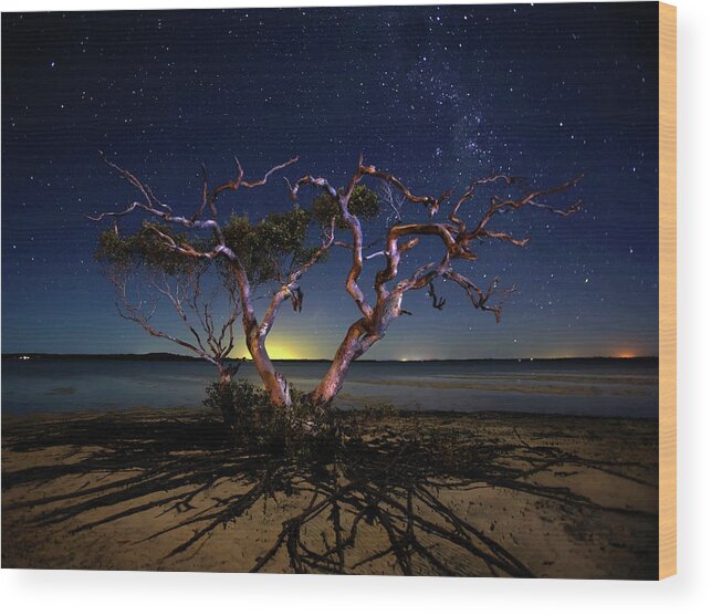 Night Wood Print featuring the photograph The Tree by Mel Brackstone