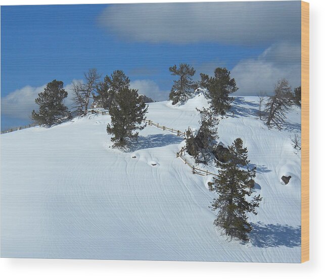 Snow Wood Print featuring the photograph The Trees Take a Snow Day by Michele Myers