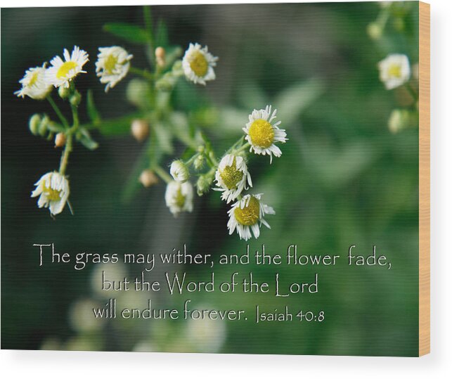 Scripture Verse Wood Print featuring the photograph The word of the Lord will endure by Denise Beverly