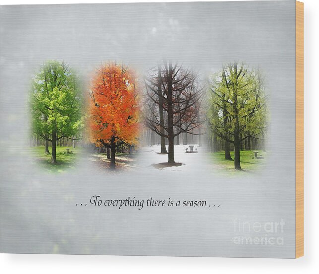 Trees Wood Print featuring the photograph To Everything There Is A Season by Clare VanderVeen