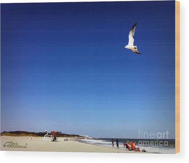 Motivational Prints Wood Print featuring the photograph Today I Will Soar Like A Bird by Phil Mancuso