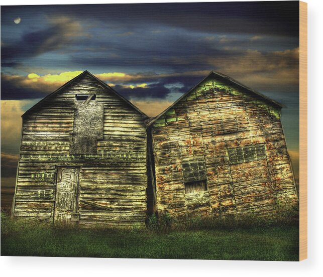 Old Barns Wood Print featuring the photograph Together Until The End by Thomas Young
