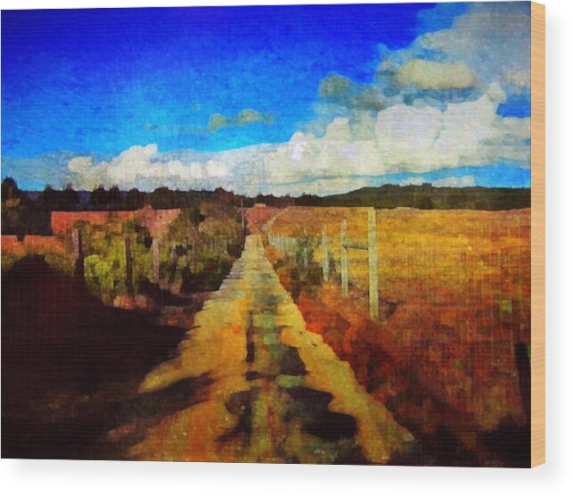 Landscape Wood Print featuring the photograph Trail of Wonder by Suzy Norris