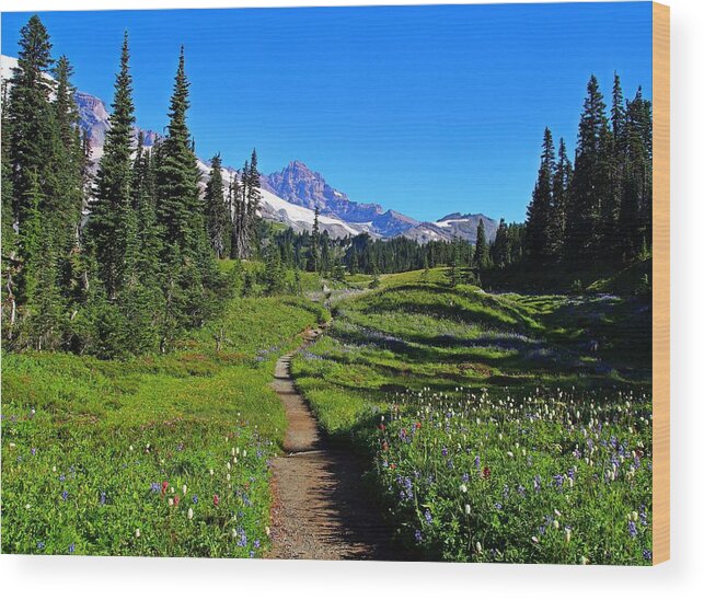 Trail Wood Print featuring the photograph Trail to Mazama Ridge by Lynn Hopwood