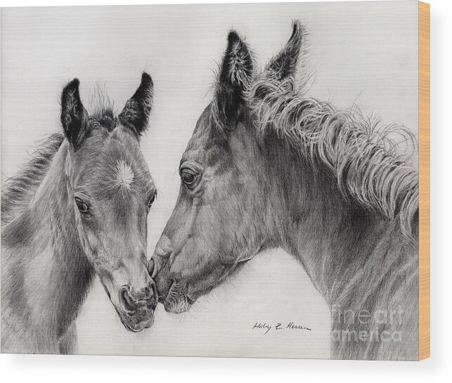 Arab Foal Wood Print featuring the drawing Two Foals by Hailey E Herrera