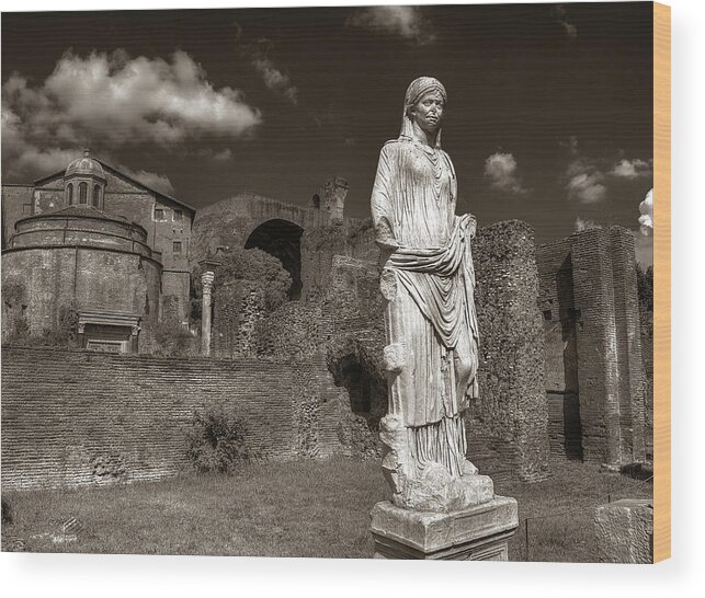 Rome Wood Print featuring the photograph Vestal Virgin Courtyard Statue by Michael Kirk