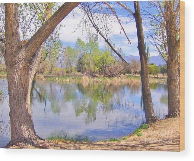 Clouds Wood Print featuring the photograph Visions Of Spring by Marilyn Diaz