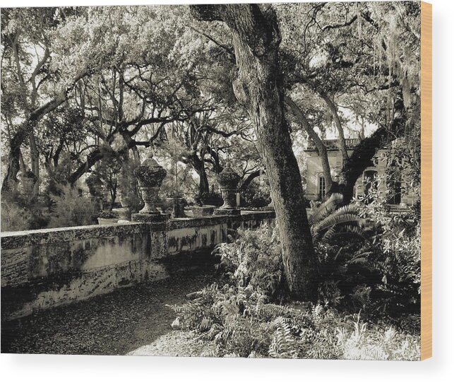 Villa Vizcaya Wood Print featuring the digital art Vizcaya Garden Courtyard by Maria Huntley