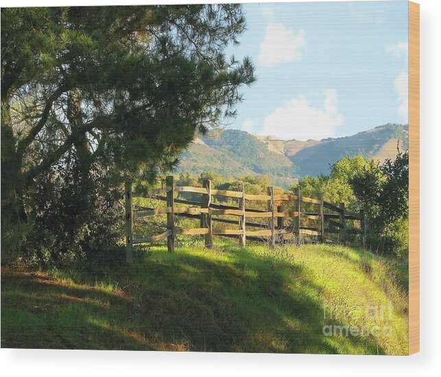 Landscape Wood Print featuring the photograph Warm Memories by Ellen Cotton