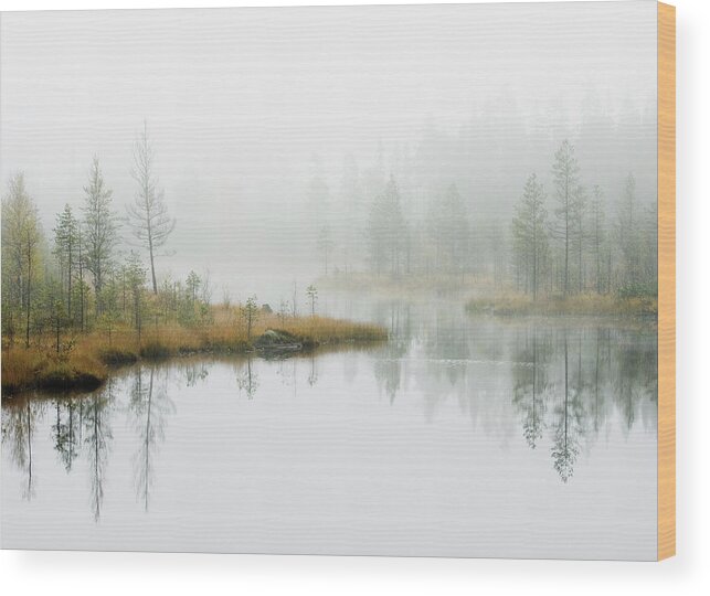 Scenics Wood Print featuring the photograph Water In Forest by Roine Magnusson