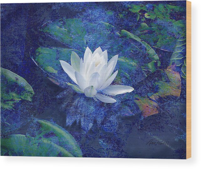 Water Lily Wood Print featuring the photograph Water Lily by Ann Powell