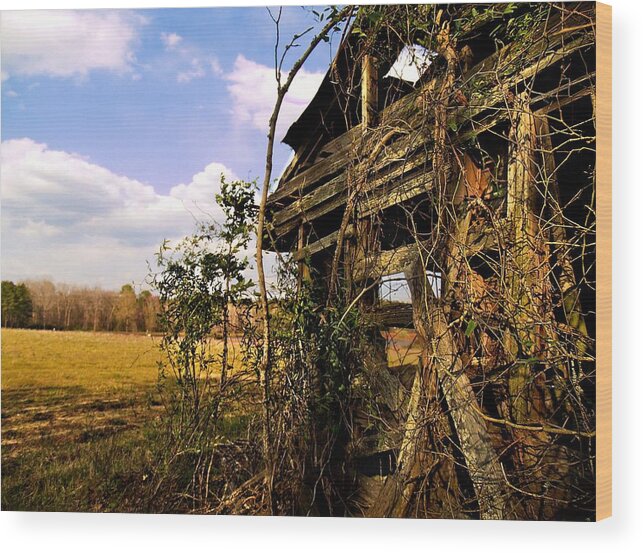 Farm Wood Print featuring the photograph Well Ventilated by Laura Ragland