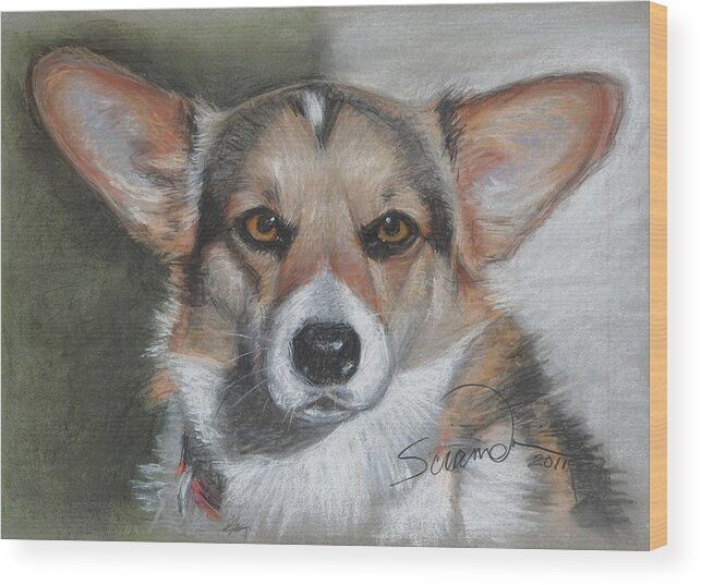 Pembroke Welsh Corgi Wood Print featuring the painting Welsh Corgi by Sciandra 