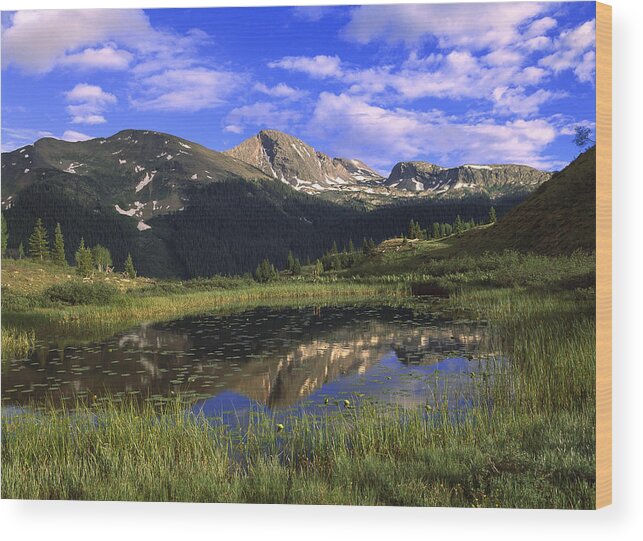 Feb0514 Wood Print featuring the photograph West Needle Mountains Weminuche by Tim Fitzharris