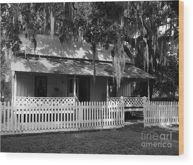 White Picket Fence Wood Print featuring the photograph White Picket Fence by Mel Steinhauer