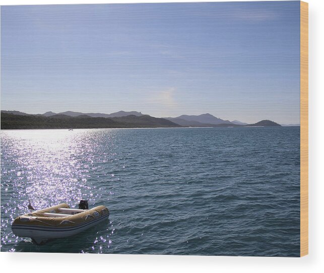 Dinghy Wood Print featuring the photograph Whitsunday Island by Debbie Cundy