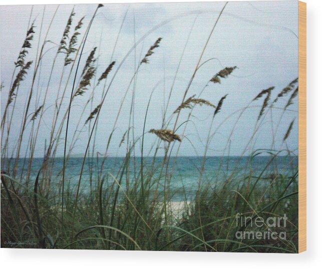 Landscape Wood Print featuring the photograph Wind Dancers by Megan Dirsa-DuBois