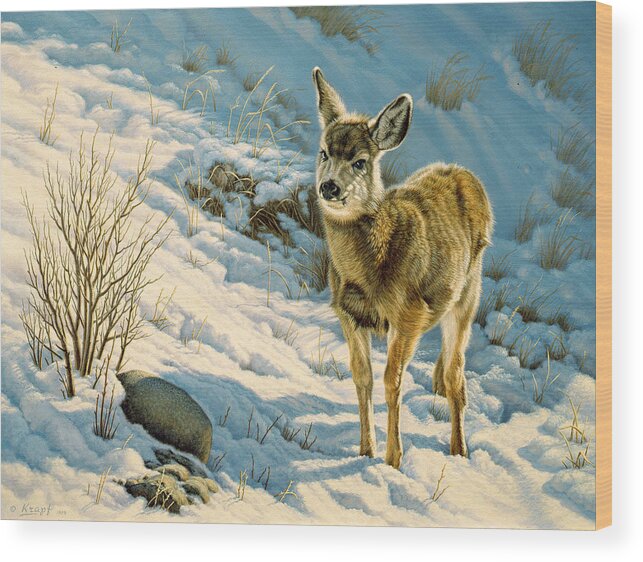 Wildlife Wood Print featuring the painting Winter Fawn - Mule Deer by Paul Krapf