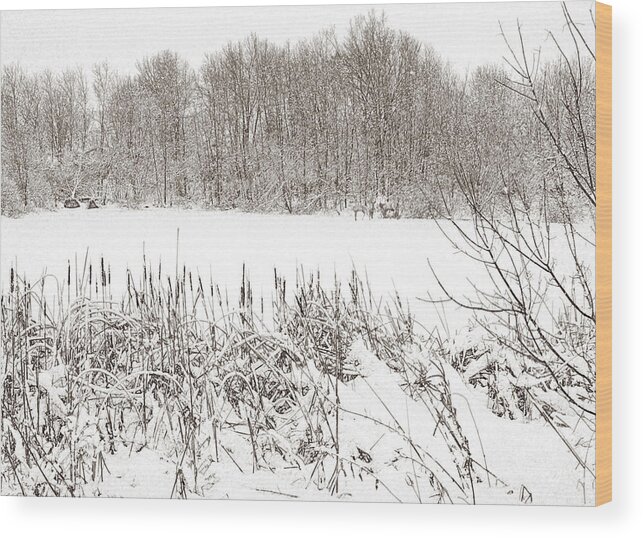 Winter Wood Print featuring the photograph Winter Pond by Lynn Hansen