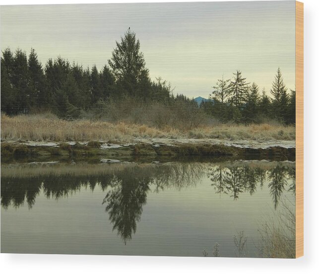 River Wood Print featuring the photograph Winter River 1 by Gallery Of Hope 