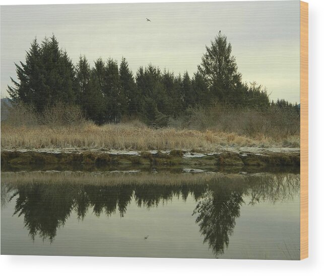 Winter Wood Print featuring the photograph Winter River 2 by Gallery Of Hope 