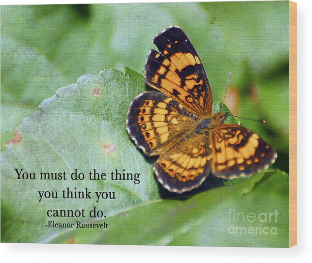Butterfly Wood Print featuring the photograph Yes You Can by Kerri Farley