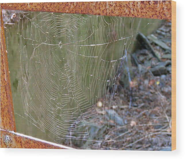 Spiders Wood Print featuring the photograph Spider Bridge #1 by Azthet Photography