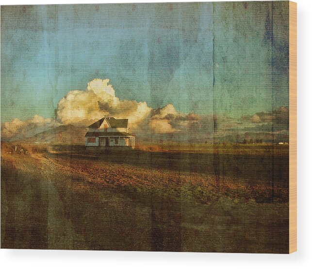 Abandoned House Wood Print featuring the photograph Abandoned #2 by Bonnie Bruno