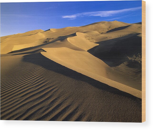 00175058 Wood Print featuring the photograph 750 Foot Tall Sand Dunes Tallest by Tim Fitzharris