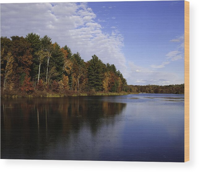Autumn Wood Print featuring the photograph Autumn Splendor by Thomas Young