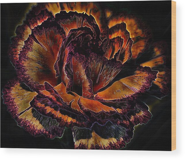 Petals Wood Print featuring the photograph Carinated Curves by Bill and Linda Tiepelman