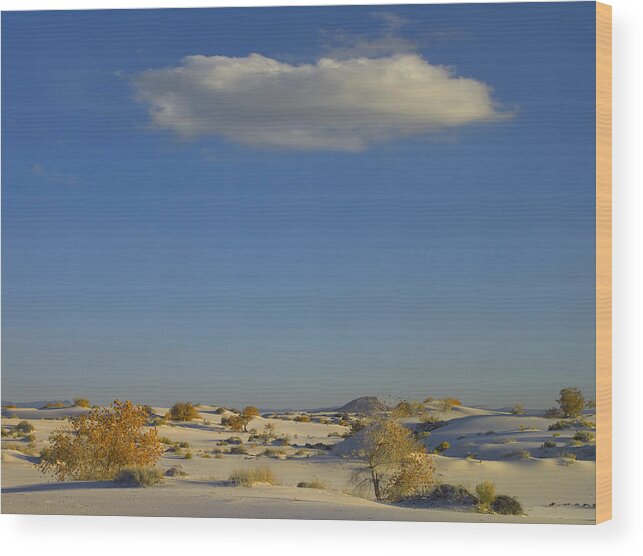 00175193 Wood Print featuring the photograph Cloud Over White Sands National by Tim Fitzharris