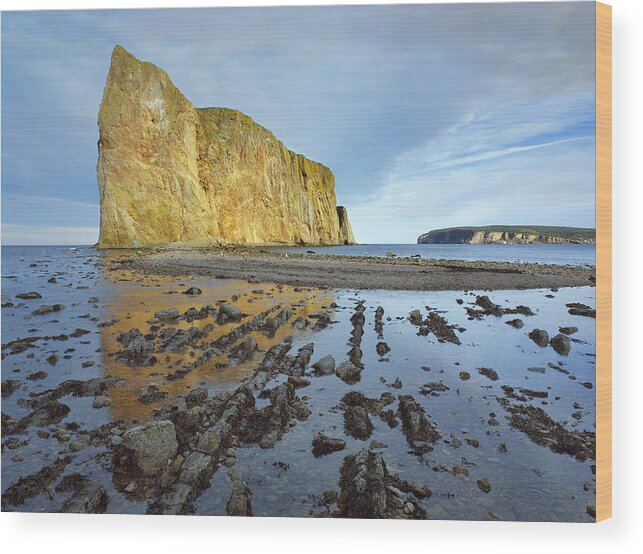 00176920 Wood Print featuring the photograph Coastline And Perce Rock A Limestone by Tim Fitzharris