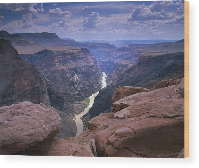 00174880 Wood Print featuring the photograph Colorado River Grand Canyon National by Tim Fitzharris