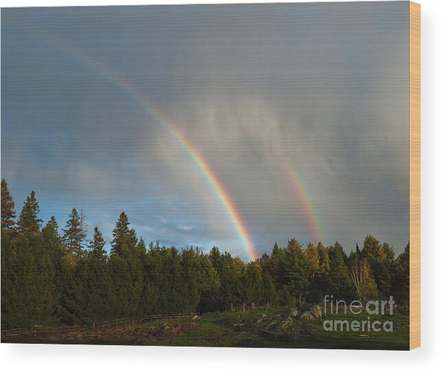 Rainbow Wood Print featuring the photograph Double Blessing by Cheryl Baxter