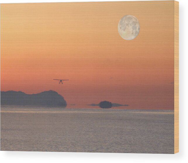 Aviation Wood Print featuring the photograph Early Flight by Mark Alan Perry