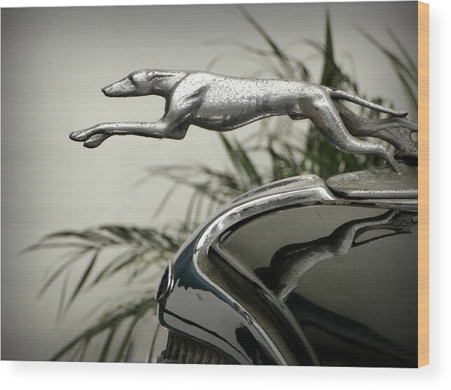 Greyhound Wood Print featuring the photograph Ford Greyhound Radiator Cap by Karyn Robinson