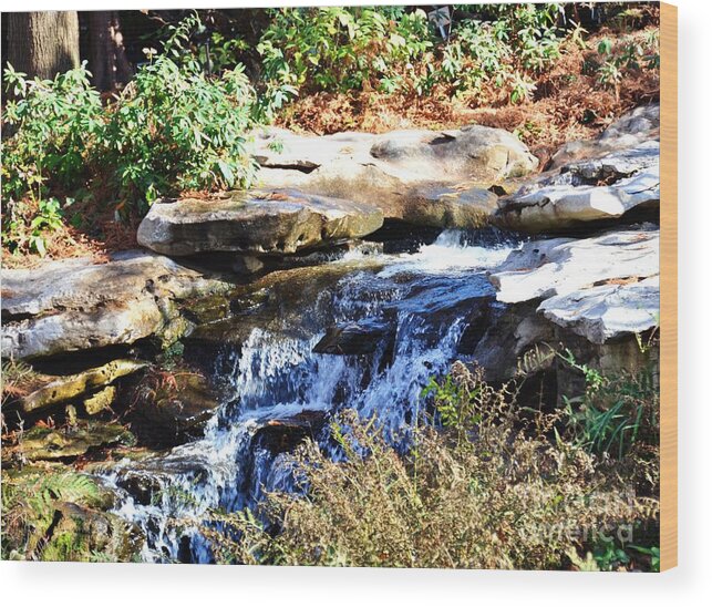 Stream Wood Print featuring the photograph Free to Stream by Debbi Granruth