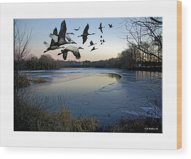 2d Wood Print featuring the photograph Freezing Landscape by Brian Wallace