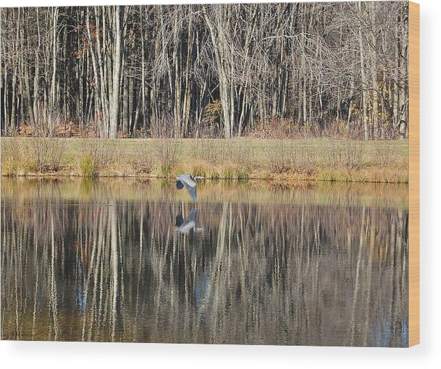 Great Blue Heron Wood Print featuring the photograph Great Blue Heron in November by Mary McAvoy