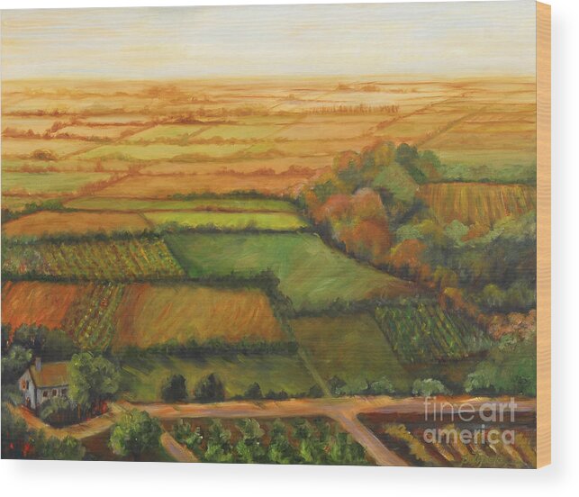 Italy Paintings Vineyards Wood Print featuring the painting Land Lots of Land by Pati Pelz